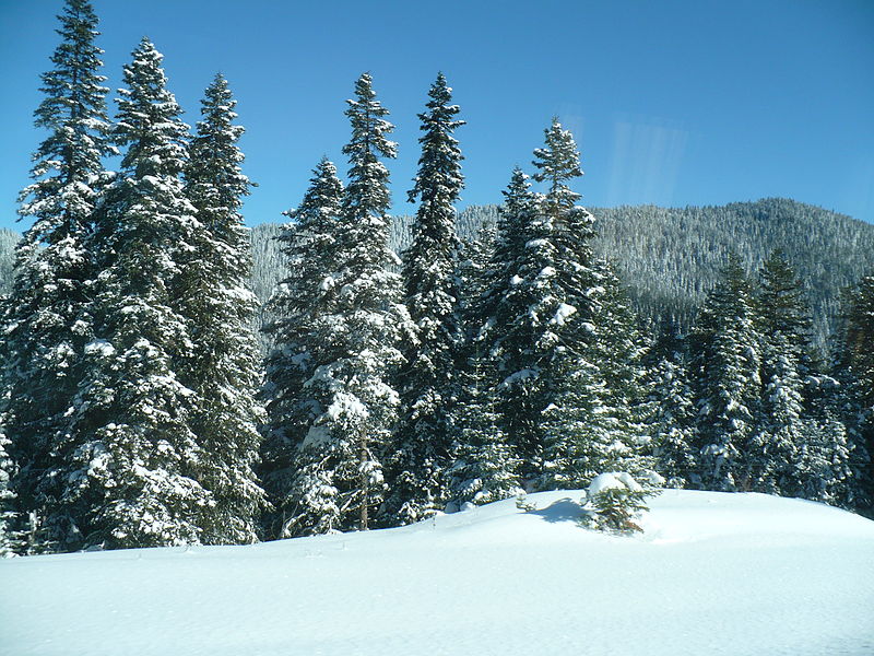 File:Ilgaz 13.JPG