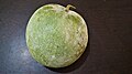 India Ash Gourd.jpg