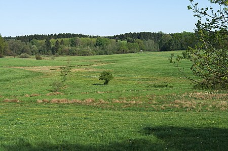 Irrlichtsweiher nature reserve (03)