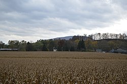 Juniata Ironworks Buildings.jpg