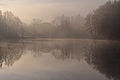 Hallegg pond in the morning mist - Hallegger Teich im Morgennebel