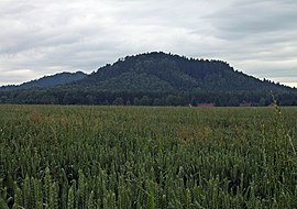 Kleinhennersdorfer Stein - Ansicht von Westen (01-2) .jpg