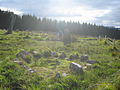 Radial cairn and standing stone at Knocknakilla