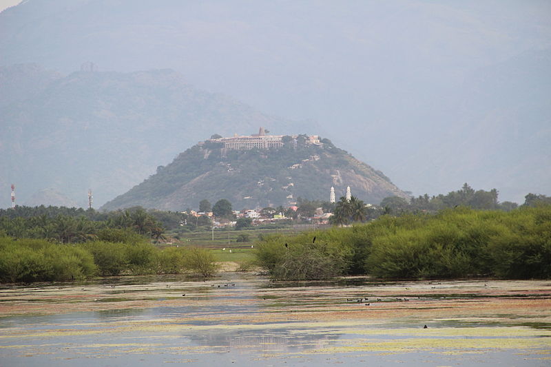 File:Kothaimangalam Wetland.jpg