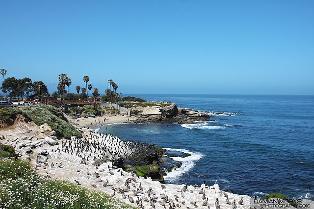 La Jolla Cove - Wikipedia