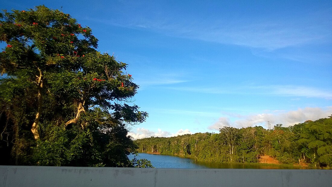 Bayamón, Cidra, Puerto Rico