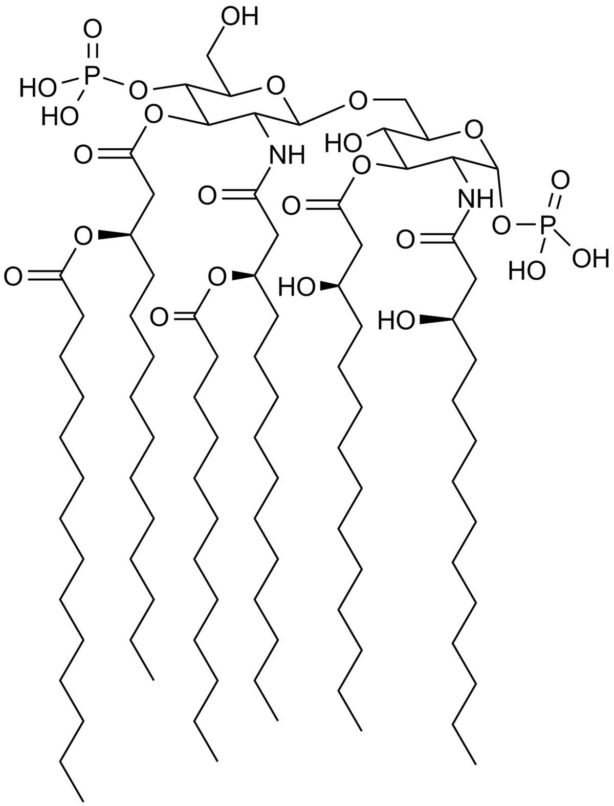 structure galactose formula Wikipedia A Lipid