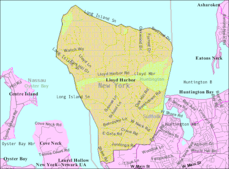 Lloyds harbor map