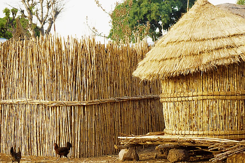 File:Local Fulfulde Fence.jpg