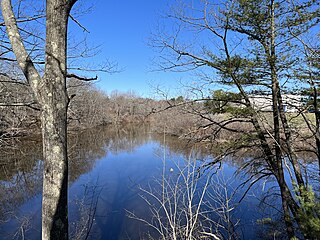 <span class="mw-page-title-main">Long Creek (Fore River tributary)</span> River in the United States