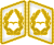 Luftwaffe coleira abas Generalmajor 3D.svg