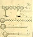 Mémoires sur l'électricité et la magnétisme (1789) (14782237784).jpg