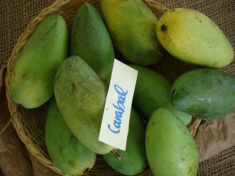 File:Mango Carabao Asit fs8.jpg