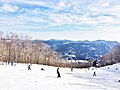 2016年10月29日 (土) 07:36時点における版のサムネイル