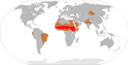 Meningitis-Epidemics-World-Map