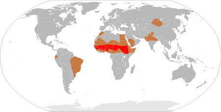 ไฟล์:Meningitis-Epidemics-World-Map.png