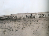 المقر الميداني السادس للجيش أثناء حملة بلاد ما بين النهرين 1915.