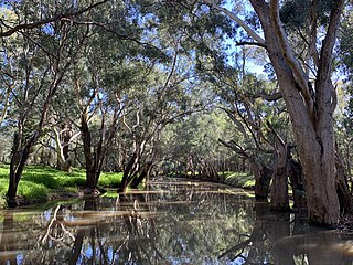 <span class="mw-page-title-main">Mirrool Creek</span> River in New South Wales, Australia