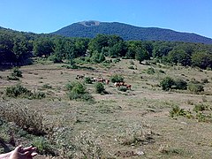 Monte Pollino - panoramio.jpg