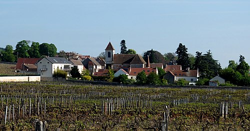 Rideau métallique Morey-Saint-Denis (21220)