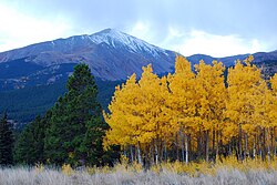 Mount Silverheels