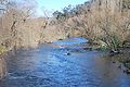 English: The upper en:Murray River as seen from the Indi Bridge