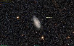 NGC 3133