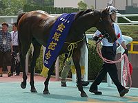 ナカヤマフェスタ: 競走馬時代, 種牡馬時代, 競走成績