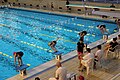 Compétition réservée aux garçons et filles de 11 ans, organisée par le CNB (Club nautique brestois) à la piscine Foch.