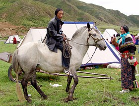 Tibetansk nomad og hans Jiaoke-type Hequ-hest i Gansu, Kina