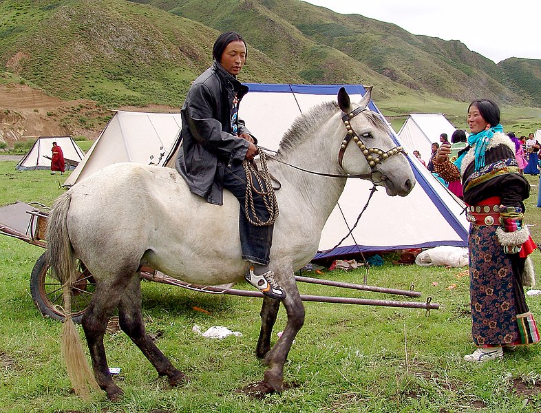 File:Nomade tibétain et son cheval à Gansu, Chine.jpg