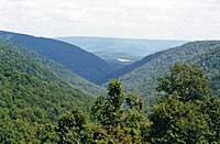 Looking down the Big Lick Branch drainage from the upper slopes of Blue Knob