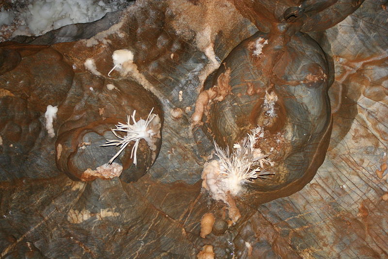 Ochtińska jaskinia aragonitowa
