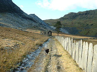 The Conglog exit tramway looking towards the quarry. The building was the Rhosydd Chapel. The slate waste to the right of the tree is from Conglog, and the incline to the levels is just to its right. The holes in the hillside above it are the tops of the level 'C' chambers. Old quarry track - geograph.org.uk - 337211.jpg