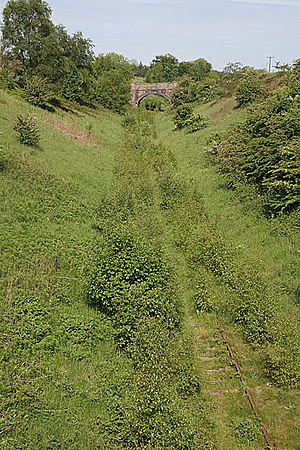 Old railway cutting near Winkhill Station - geograph.org.uk - 458539.jpg