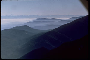 Olympic National Park OLYM6081.jpg