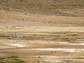 On route to Colca Valley 21.jpg