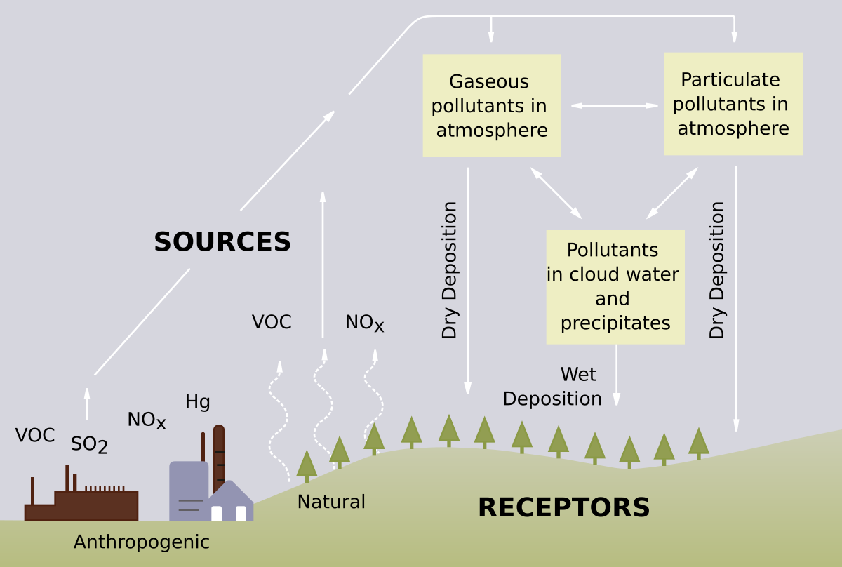 Реферат: Acid Rain And It