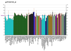 PBB GE LMOD3 gnf1h04122 в формате fs.png