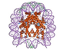 PDB 1m19 EBI.jpg