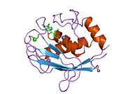 PDB 1mnc EBI.jpg