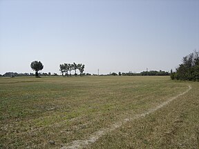 Ansicht „Pannonischer Hain“