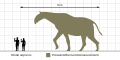 Paraceratherium Scale Diagram