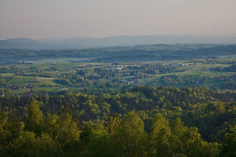 File:Park Krajobrazowy Pasmo Brzanki.jpg