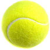 A tennis ball PelotaTenis.jpg