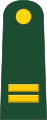 Teniente (Перувијска армија)[61]