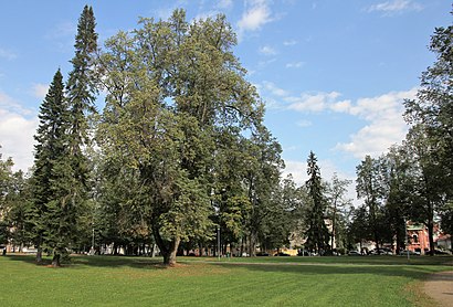 Kuinka päästä määränpäähän Piispanpuisto käyttäen julkista liikennettä - Lisätietoa paikasta