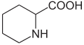 Deutsch: Struktur von Pipecolinsäure (Homoprolin) English: Structure of Pipecolic acid (Homoproline)