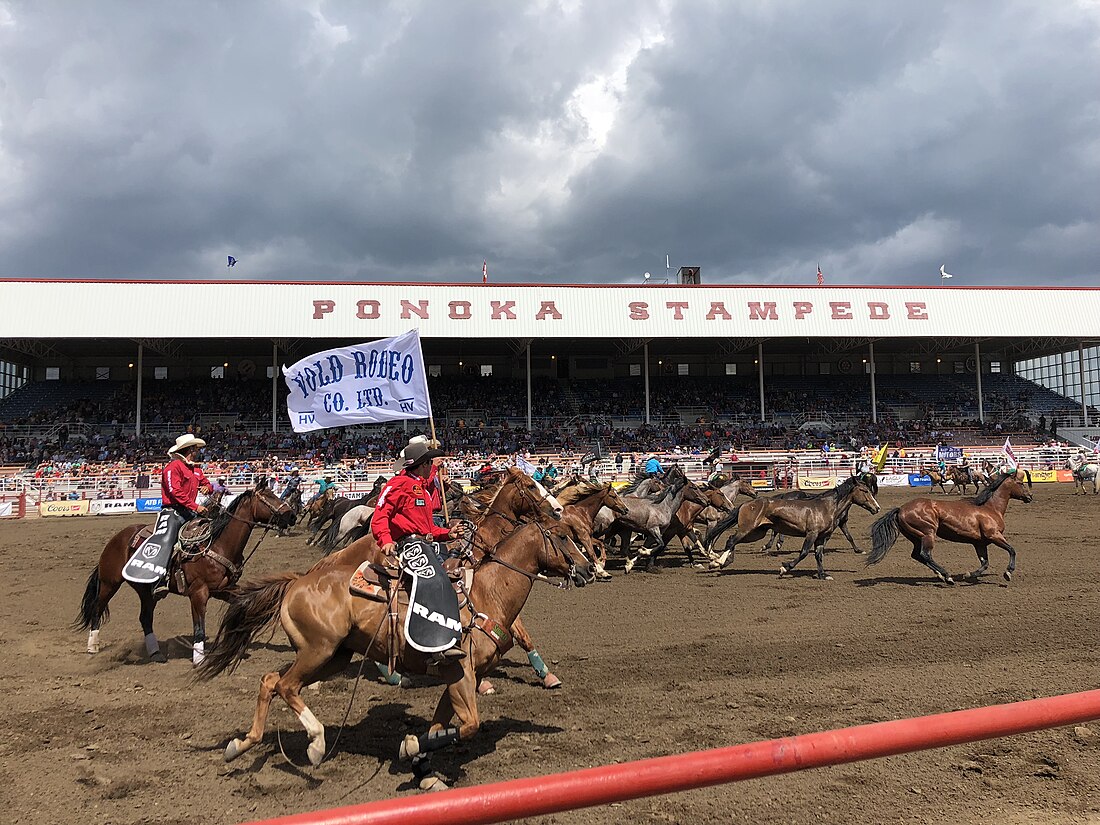 Ponoka, Alberta