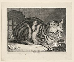 Cornelis Visscher. The Large Cat. 1657